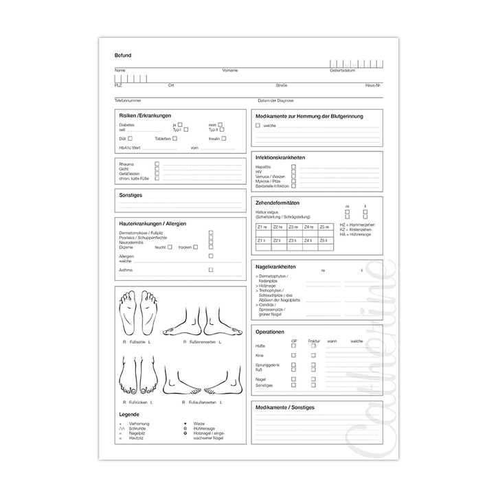 Анкета Wellvet A4 / Anamnesebogen Wellvet DIN A4 / 100 шт / 1 Stk / Анкеты для клиентов / A4